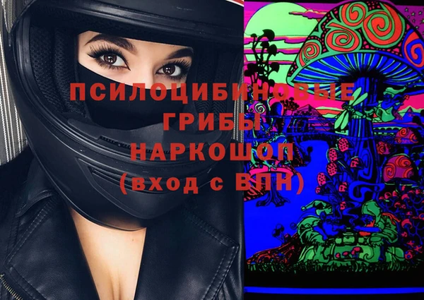 Альфа ПВП Гусев