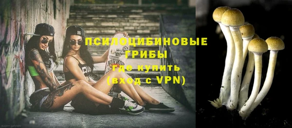 не бодяженный Верхний Тагил