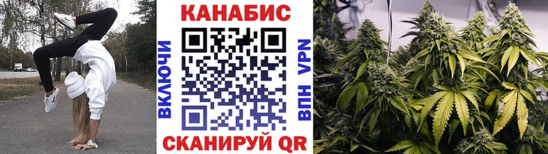 Конопля план  дарнет шоп  Ноябрьск 